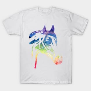 Rainbow Horse Apparel T-Shirt